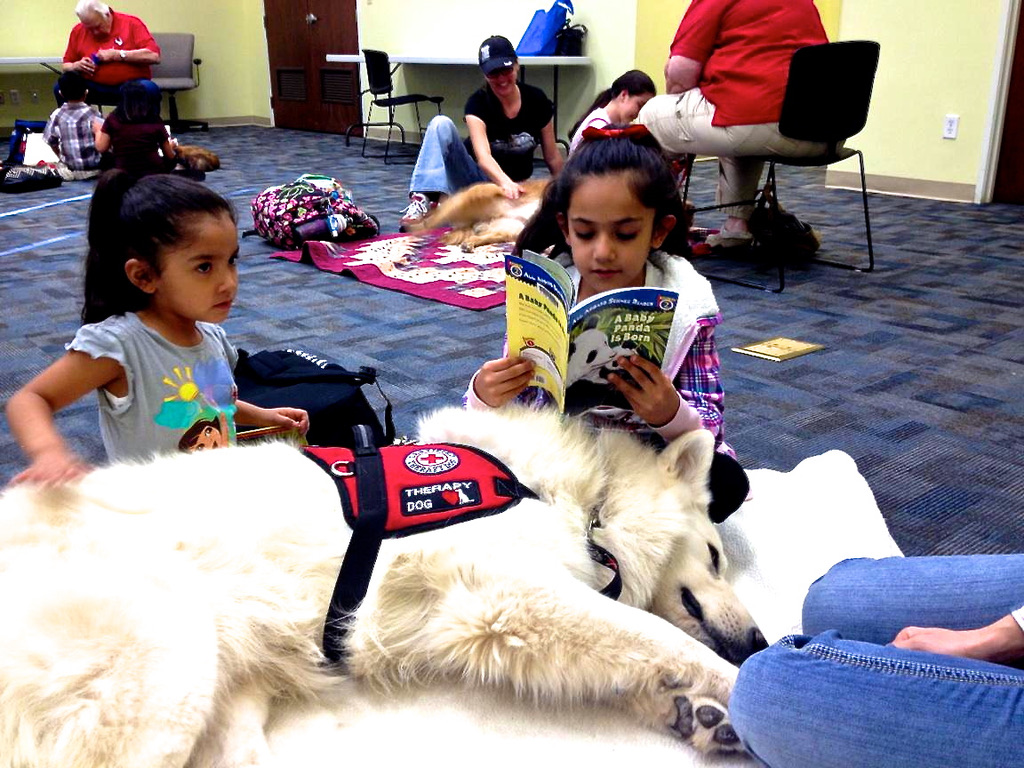 White Swiss Shepherd with Little Girls white swiss shepherd laying next to little girl reading a book